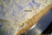 blat de cocos si crema de vanilie