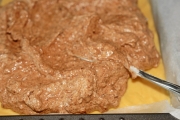 prajitura-cu-gem-si-aluat-razuit-1