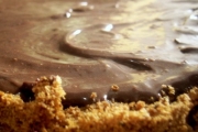 Asamblare tort cu crema de cacao